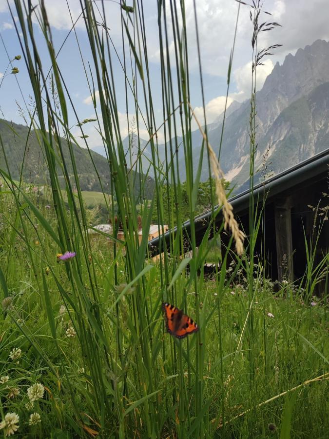 Appartements Obergollerhof Assling Dış mekan fotoğraf