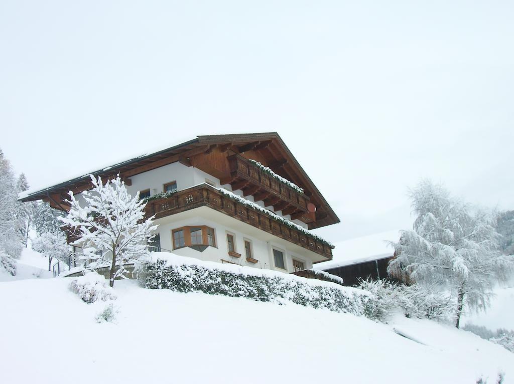 Appartements Obergollerhof Assling Dış mekan fotoğraf
