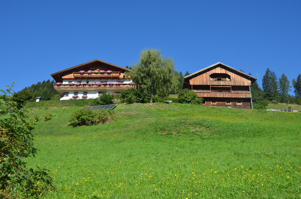 Appartements Obergollerhof Assling Dış mekan fotoğraf